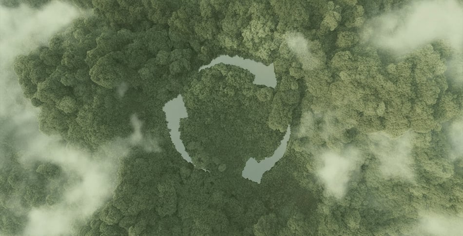 Sustainability Revervia