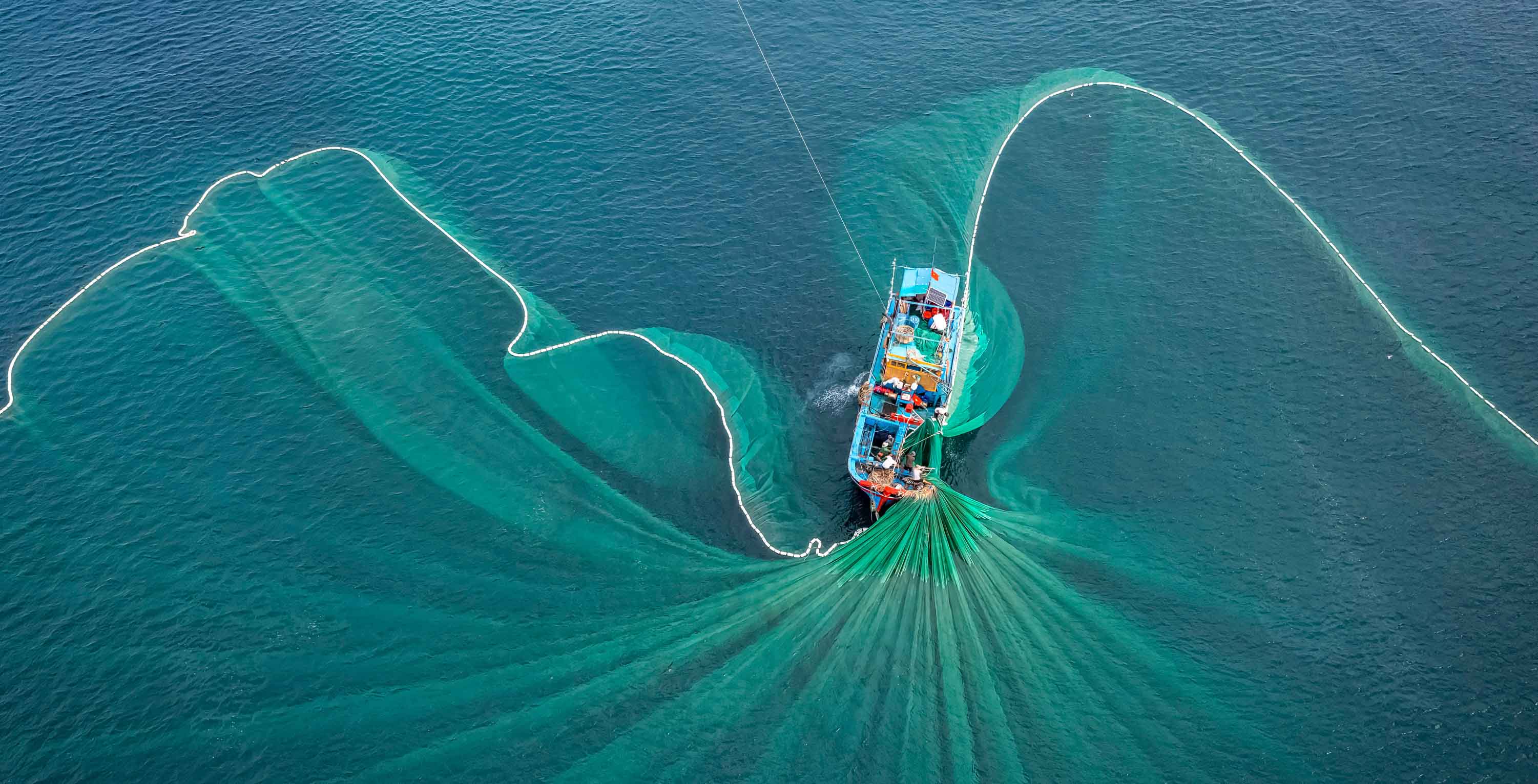 The Omega-3 Supply Landscape Is Shifting: Why Diversification Matters